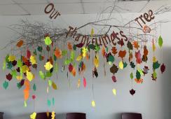 The Junior School Thankfulness Tree