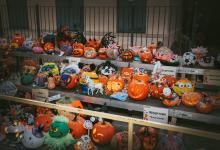 Autumn Festival Lights Up the Evening with Community Spirit