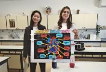 Biology Beyond the Textbook