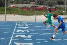 Sport Frenzy