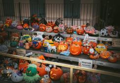 Autumn Festival Lights Up the Evening with Community Spirit
