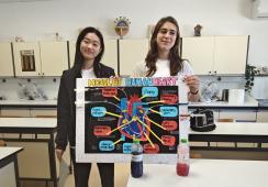 Biology Beyond the Textbook