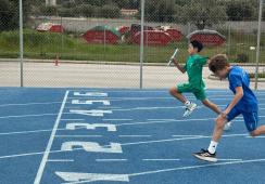 Sport Frenzy