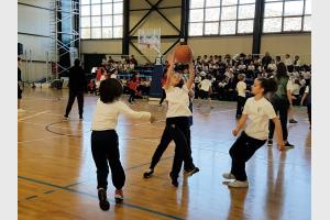 A Basketball Bonanza! - Media Gallery 3