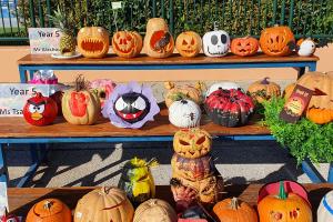 Our Perfect Pumpkin Patch! - Media Gallery