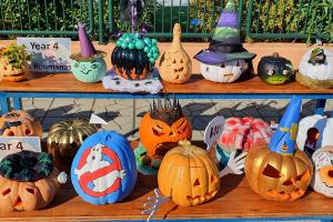 Our Perfect Pumpkin Patch! - Media Gallery 2