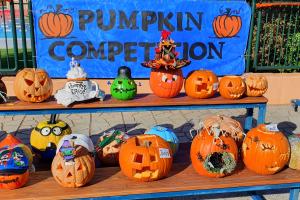 Our Perfect Pumpkin Patch! - Media Gallery 3