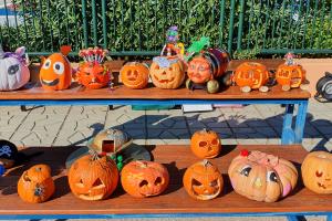 Our Perfect Pumpkin Patch! - Media Gallery 5