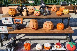 Our Perfect Pumpkin Patch! - Media Gallery 6