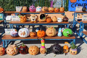 Our Perfect Pumpkin Patch! - Media Gallery 7