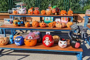 Our Perfect Pumpkin Patch! - Media Gallery 8