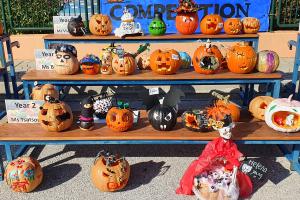 Our Perfect Pumpkin Patch! - Media Gallery 9