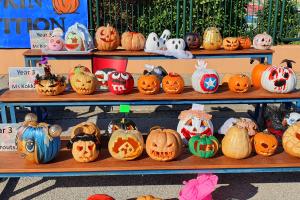 Our Perfect Pumpkin Patch! - Media Gallery 10