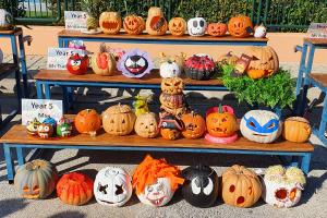 Our Perfect Pumpkin Patch! - Media Gallery 12