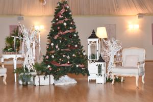 Christmas Show - Media Gallery 2