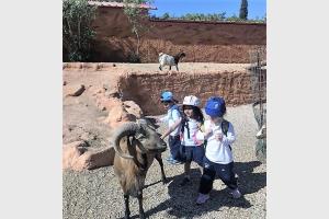 Unforgettable Trips for our Little'uns! - Media Gallery