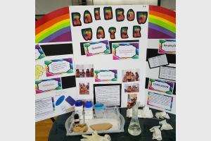 SLC Junior Science Fair - Media Gallery 9